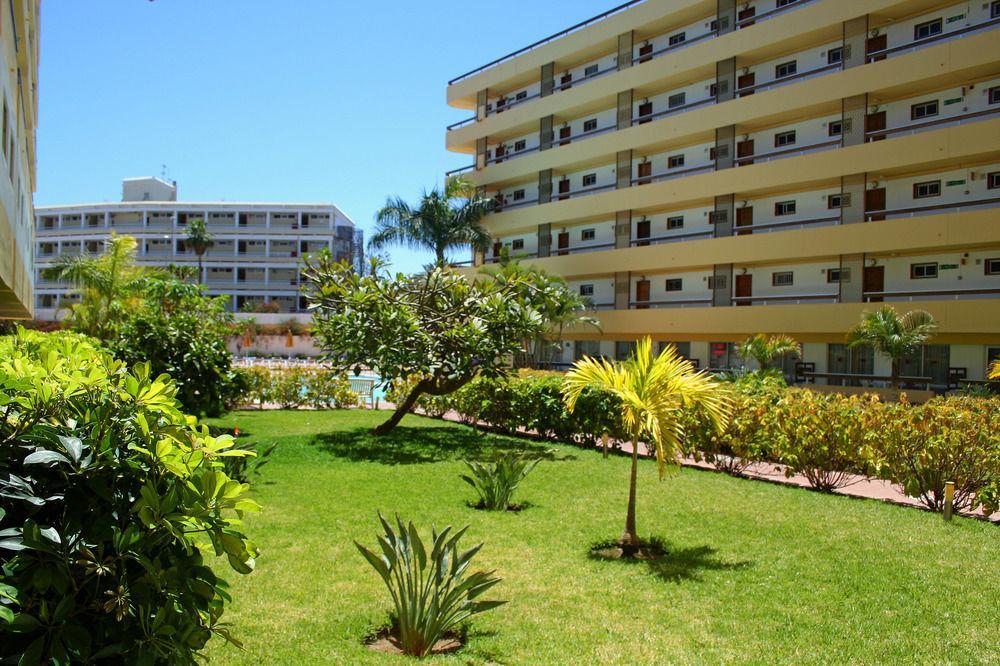 Camelias * Playa del Inglés