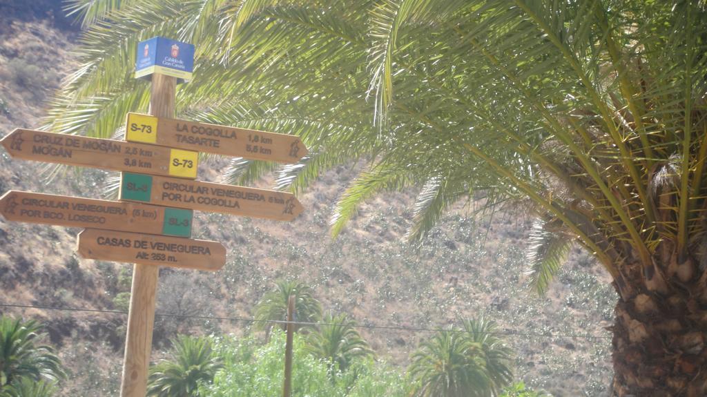 Casa El Pino Holiday home