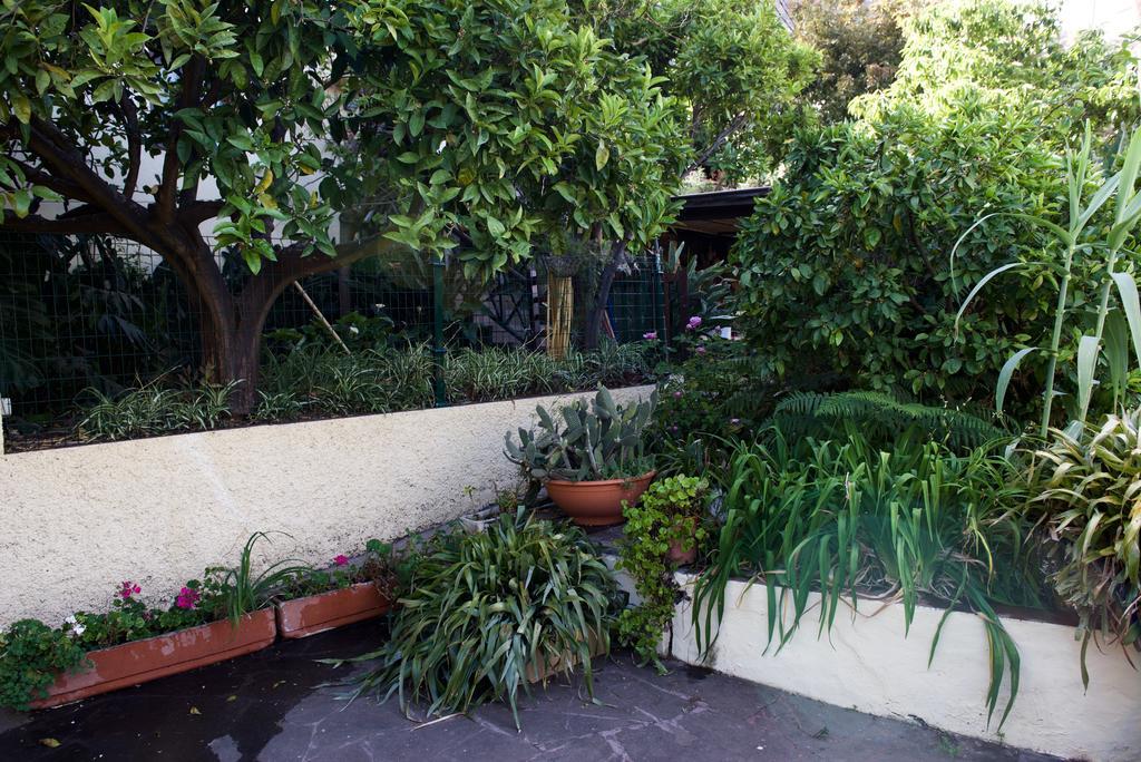 De Tío Félix Casa rural Vega de San Mateo