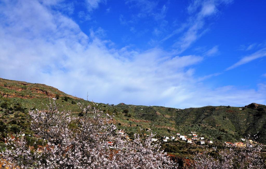 Finca La Higuerilla *