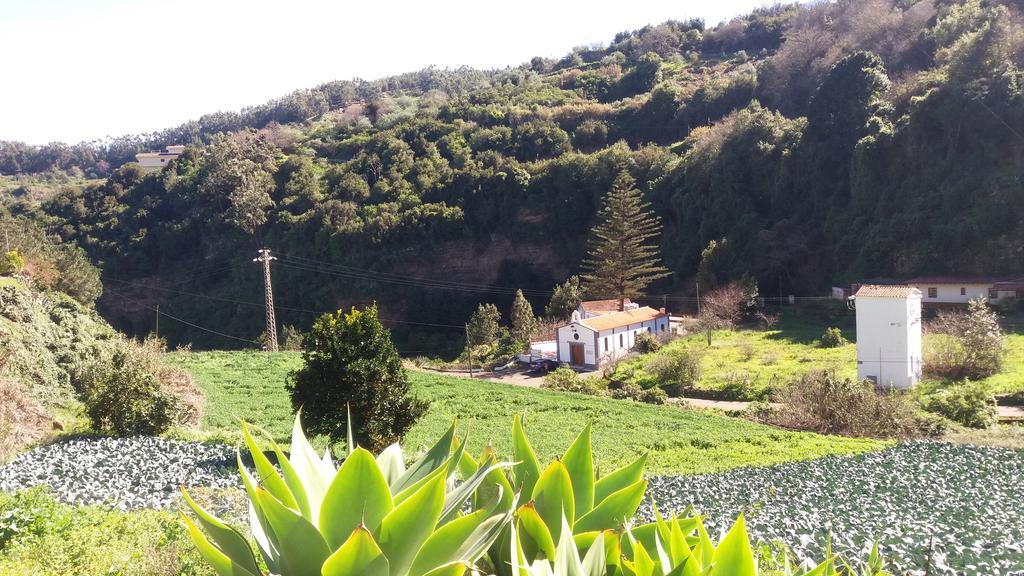 Barrancolaurel * Moya (Gran Canaria)