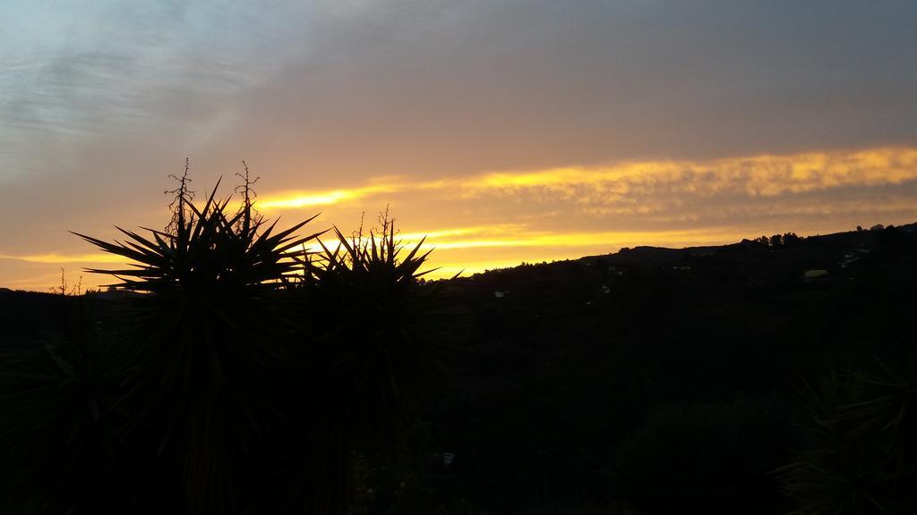 Barrancolaurel Moya (Gran Canaria)