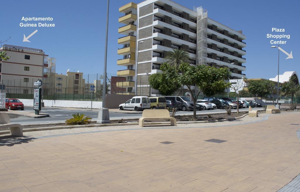 Guinea Flat - Appartamento