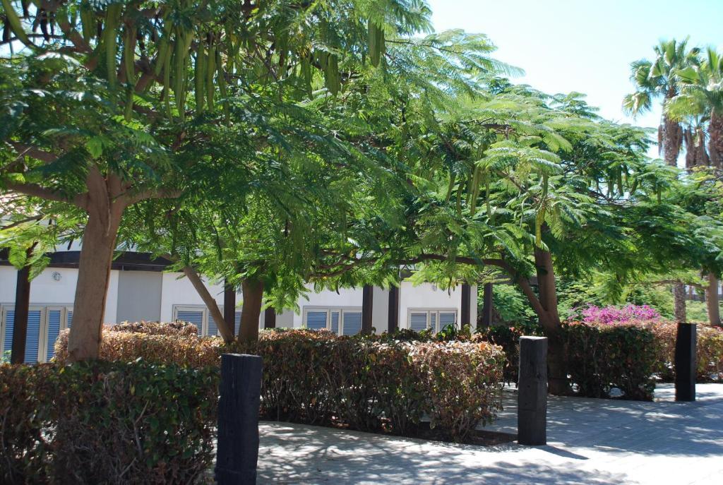 Blue Marlin 6 Villa *