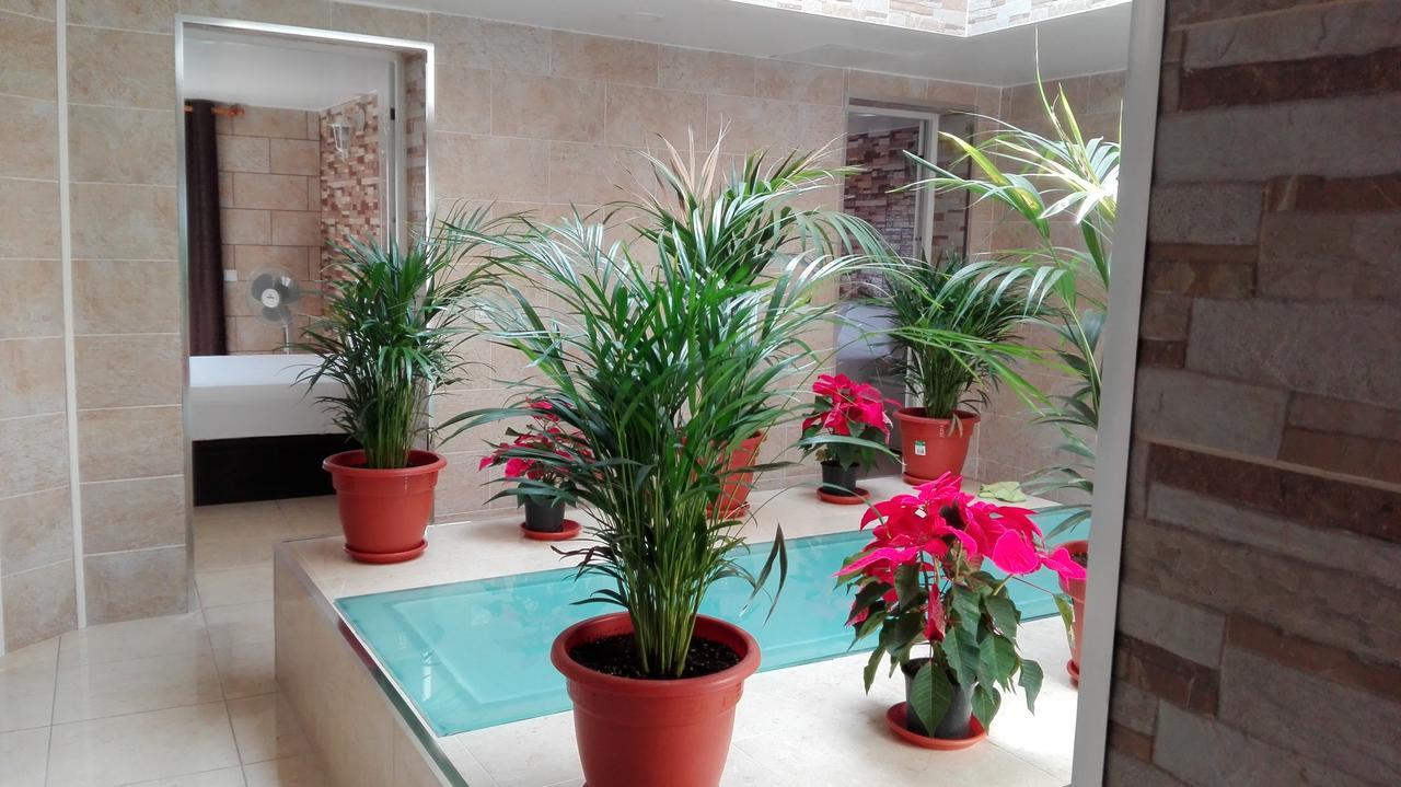 Poseidon - Hm Guest house El Tablero (Las Palmas)