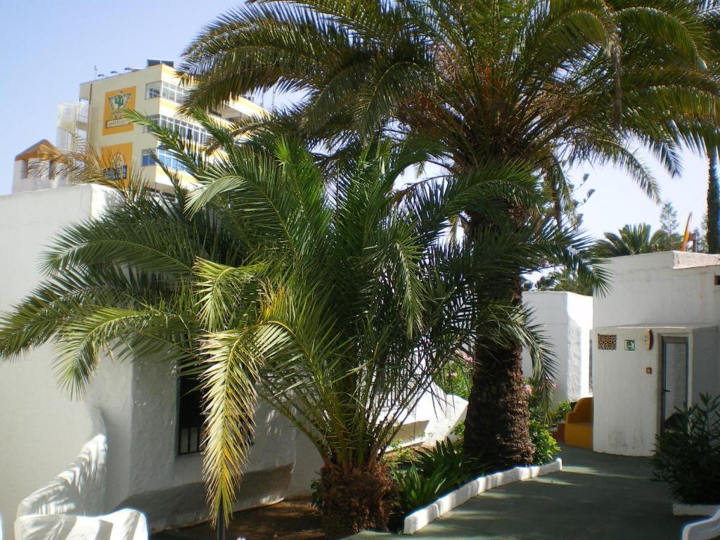 Tenesoya Gay Men Only Resort *