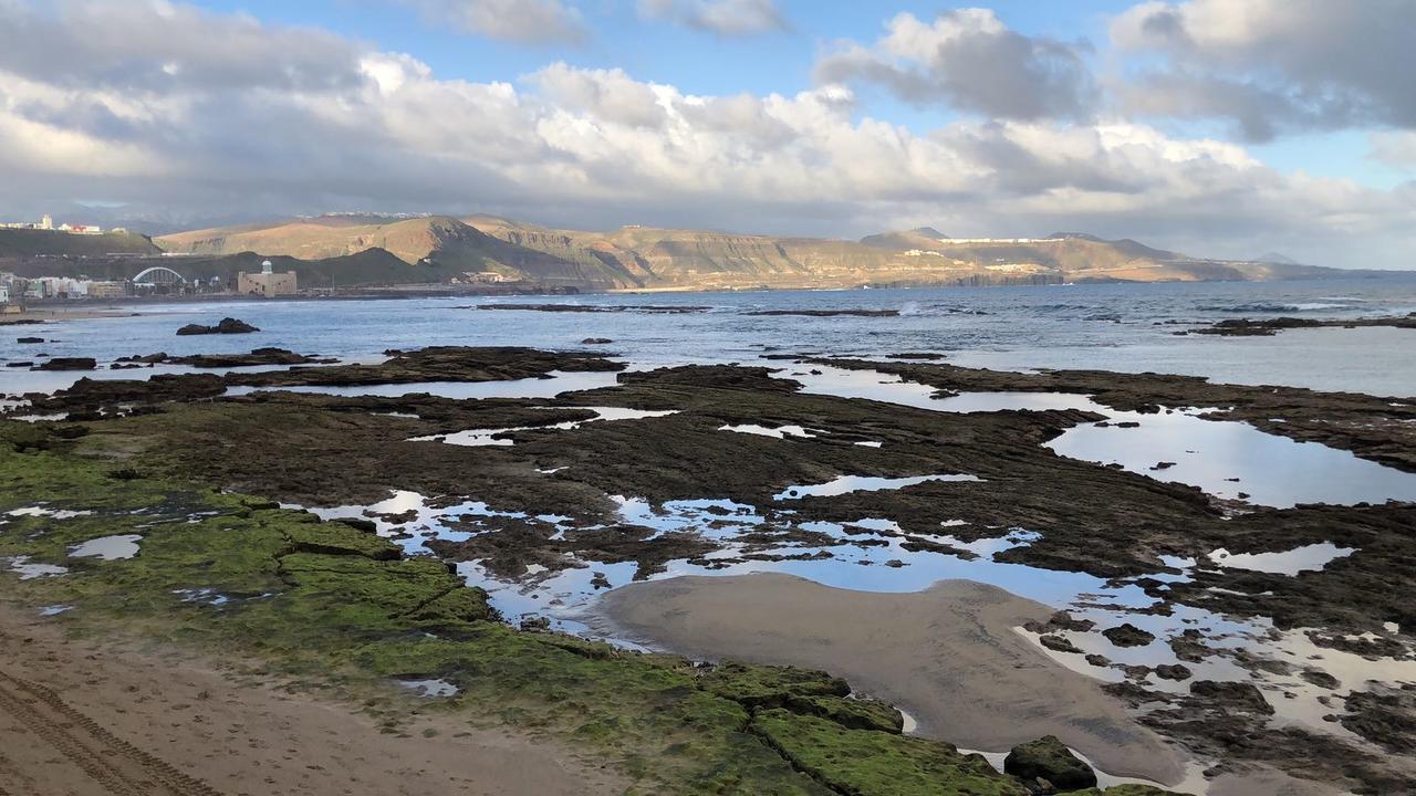 Canteras Snorkel Hotspot