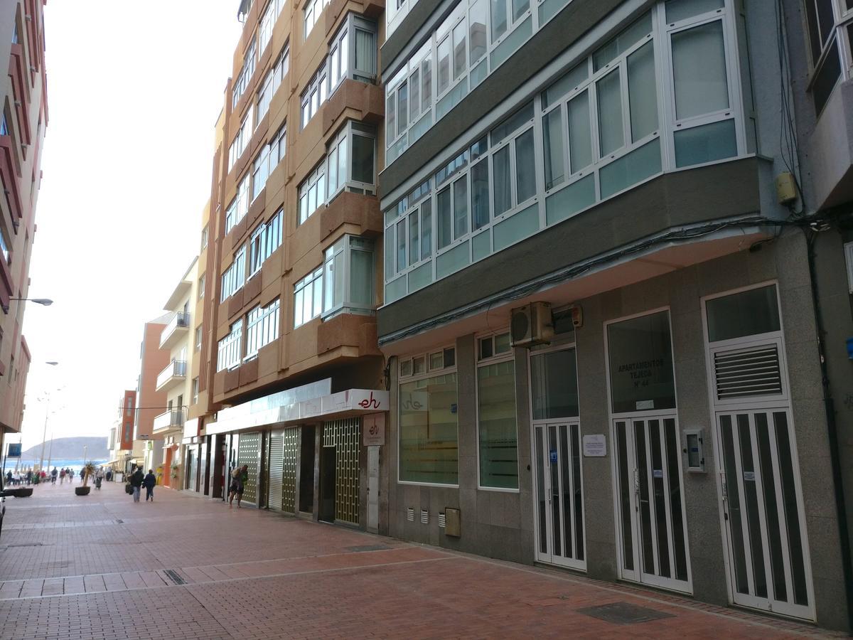 Canteras Snorkel Hotspot Las Palmas de Gran Canaria