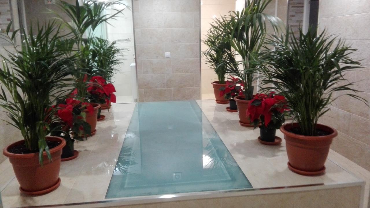 Poseidon - Hm Guest house El Tablero (Las Palmas)
