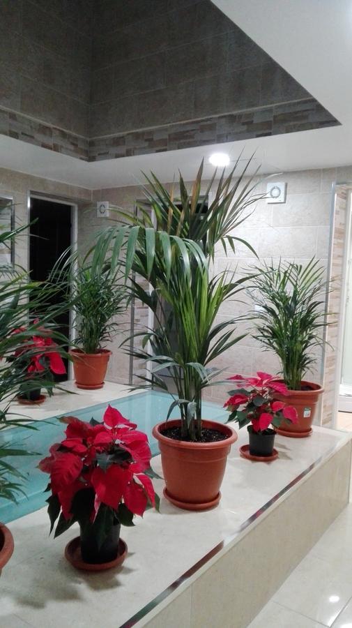Poseidon - Hm Guest house El Tablero (Las Palmas)