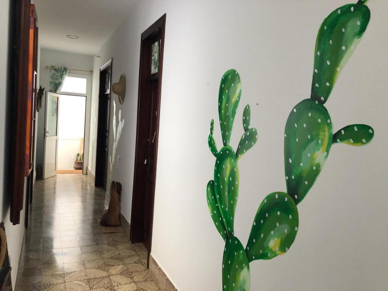 Hostal Cactus Host *
