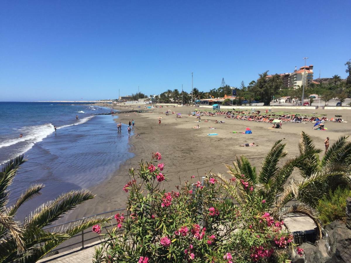 Los Acebuches Apartamento San Agustín