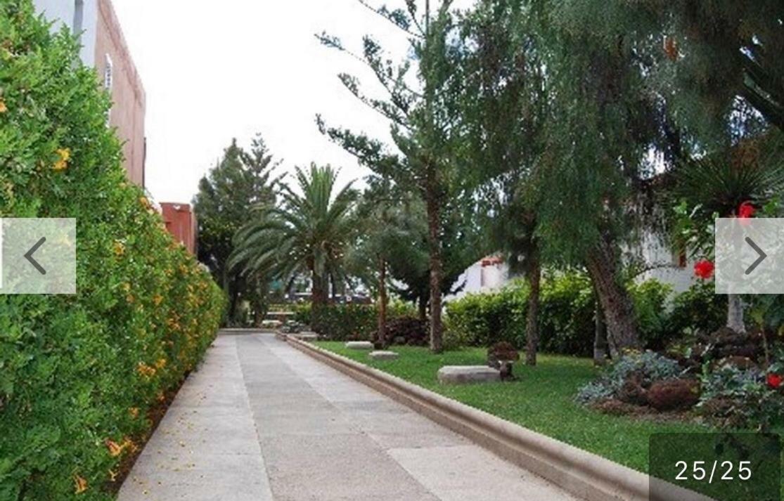 Vista Faro