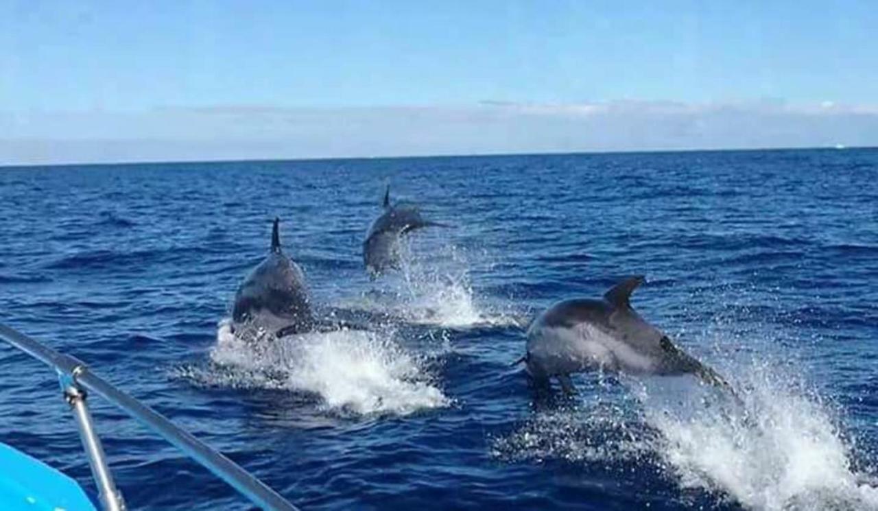 Blue Ocean Camp - *