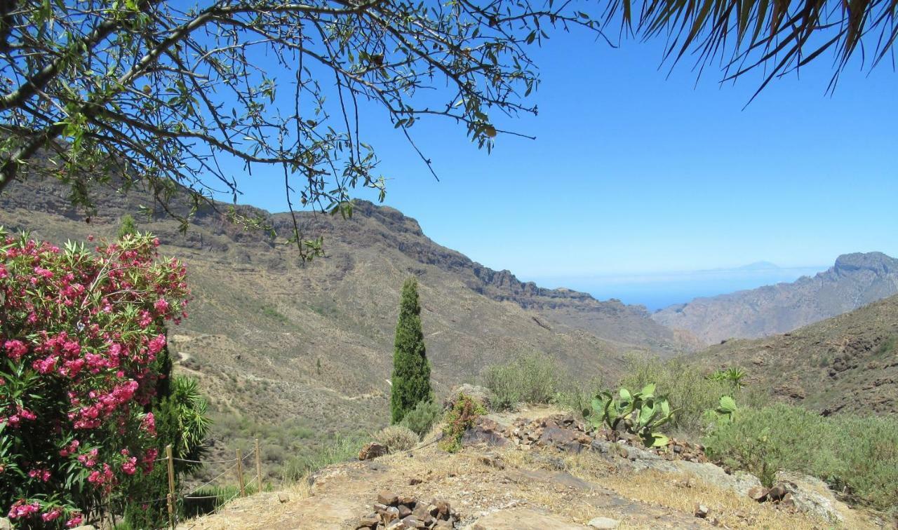 Casa vacanze Casa Rural Del Pino Tejeda (Gran Canaria)