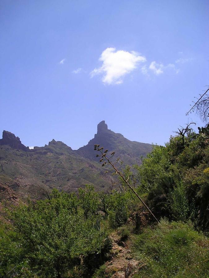 Casa di campagna La Solana *