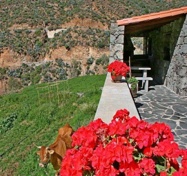 El Coronel Casa di campagna Tejeda (Gran Canaria)