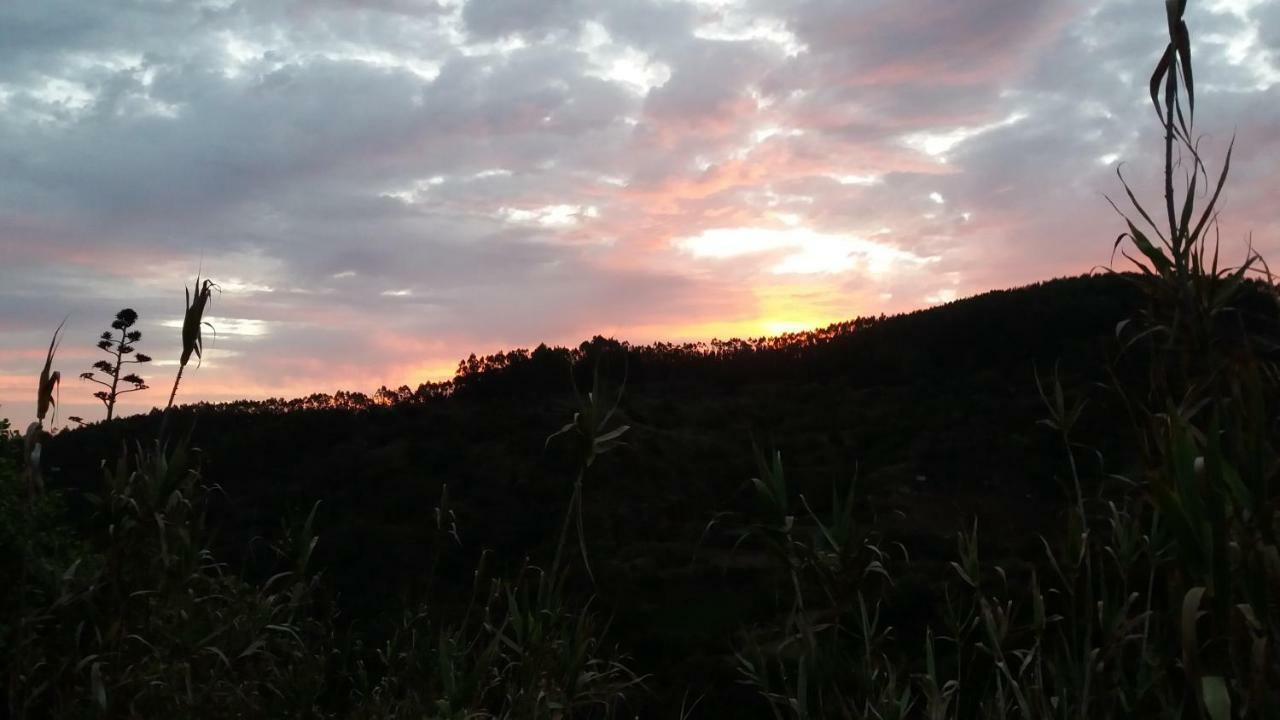 Barrancolaurel