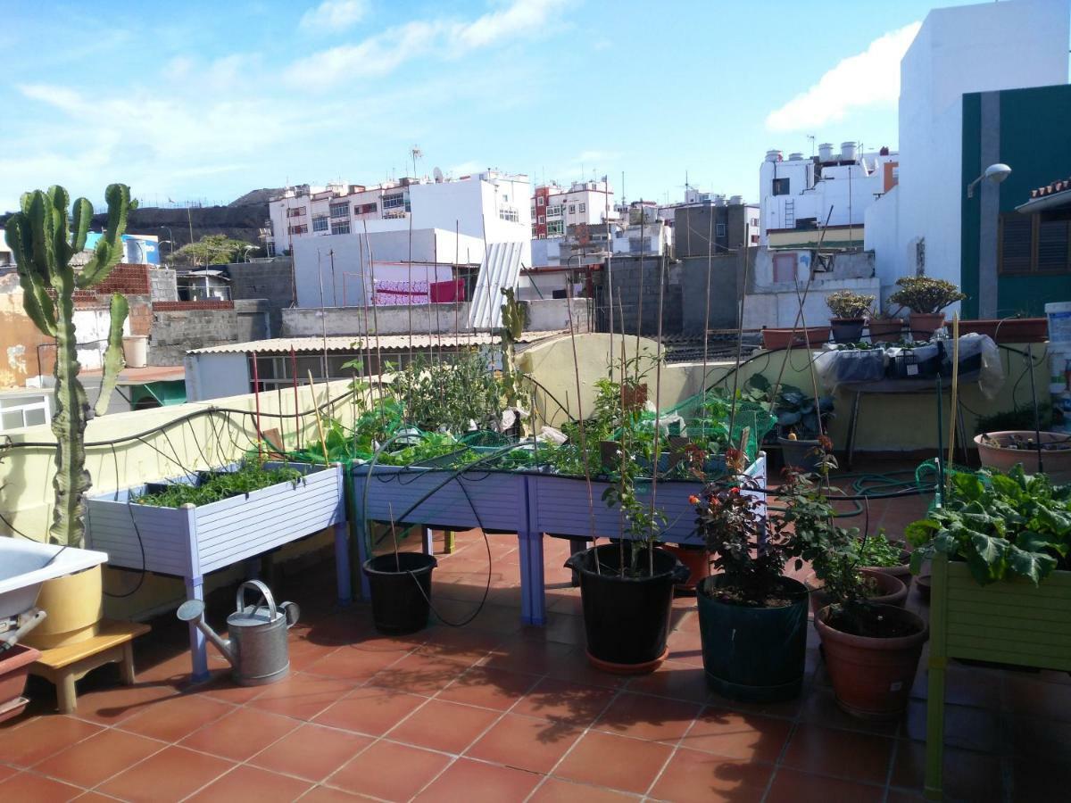 ático Confital Las Palmas de Gran Canaria