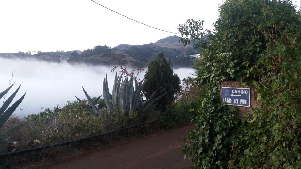 Barrancolaurel * Moya (Gran Canaria)