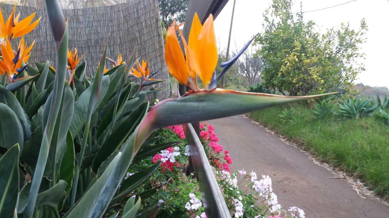 Casa vacanze Barrancolaurel Moya (Gran Canaria)