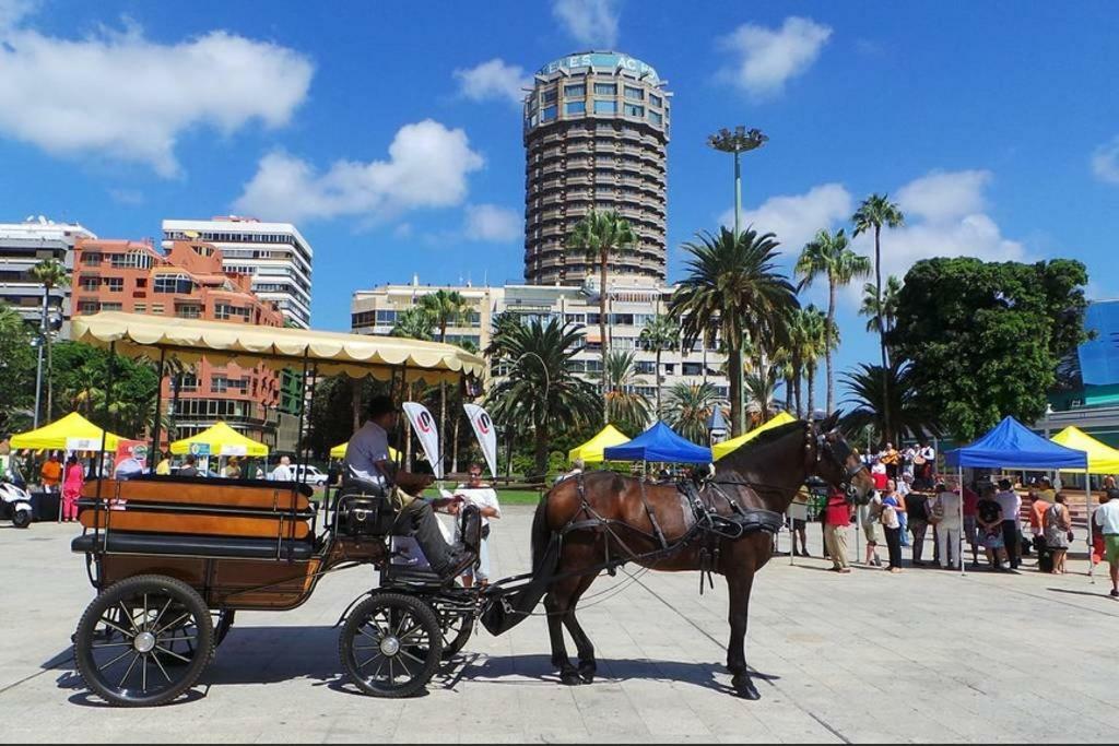 Canteras Bonamar 509 *
