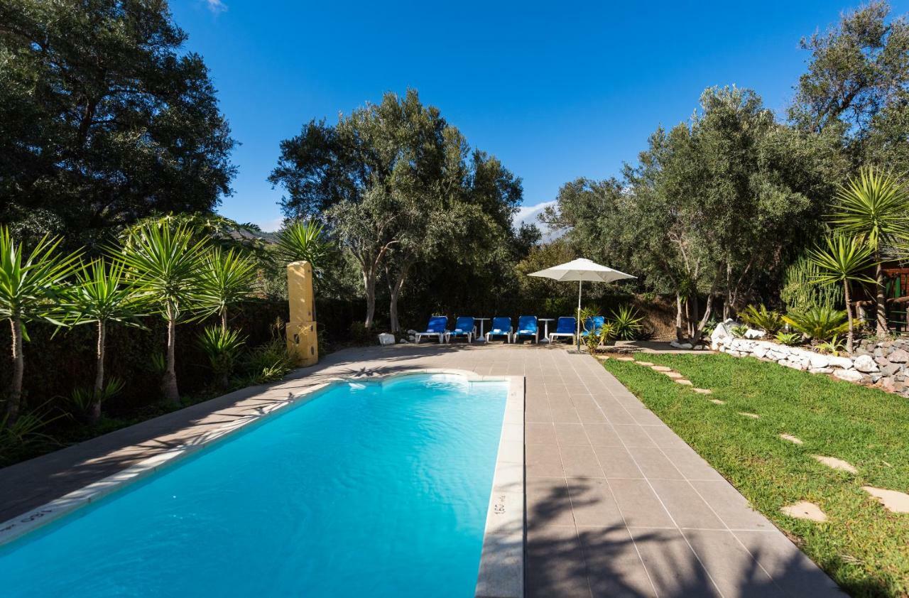 Bohemian Hideaway - 2 Unique With Shared Pool