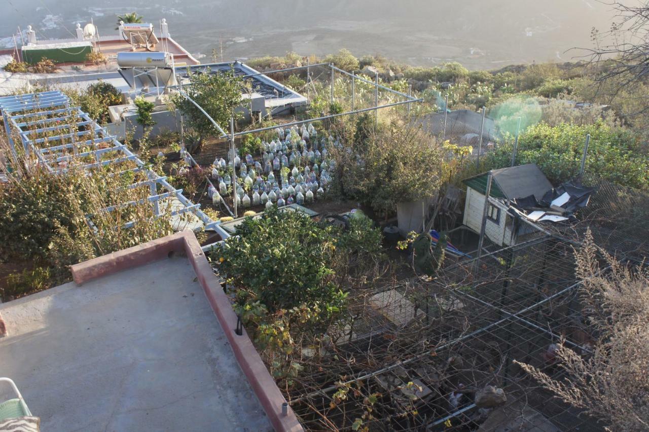 Cortez Apartment San Bartolome de Tirajana (Gran Canaria)