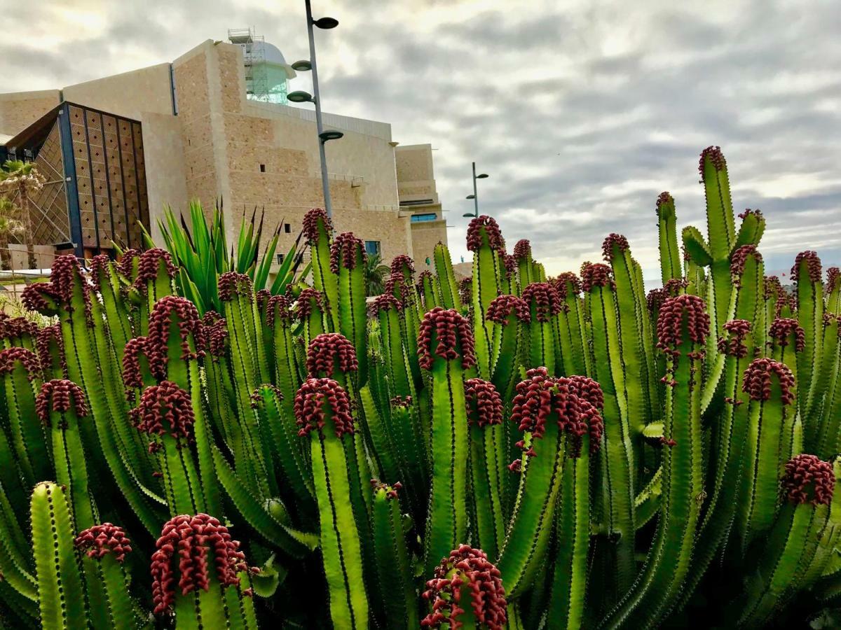 Apartment Canary Islands Holidays Las Palmas de Gran Canaria