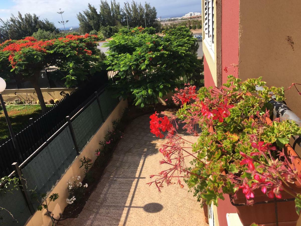 Vivienda Velas *