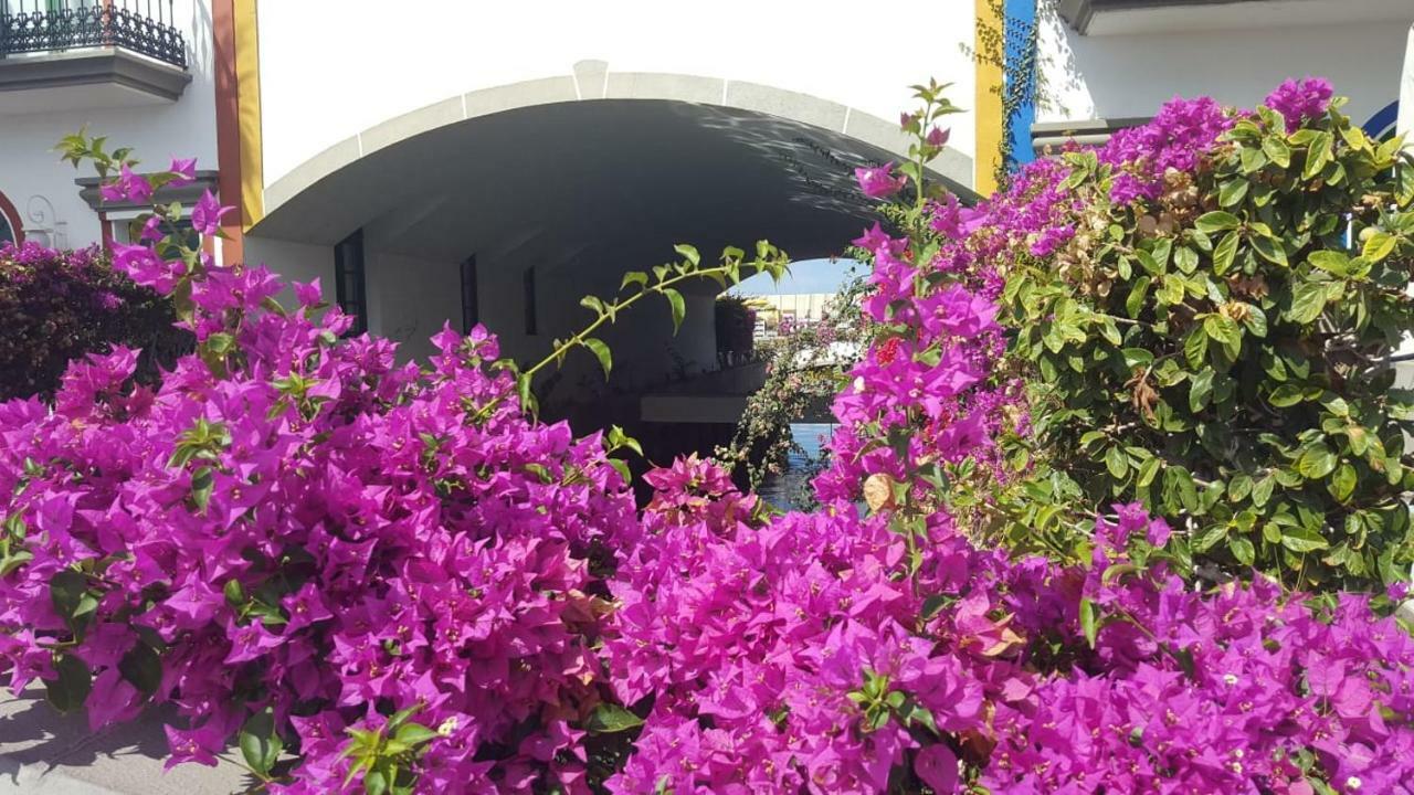 Casa Little Venice In Appartamento