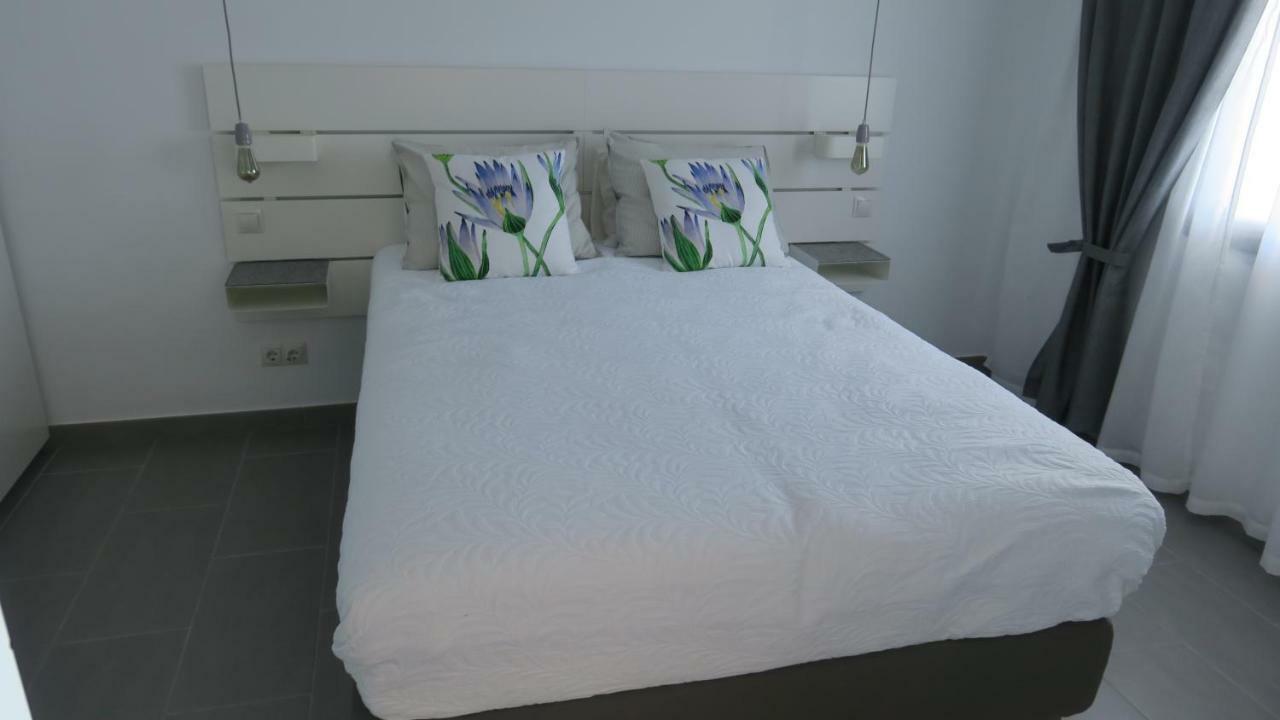 Luxury Apartment