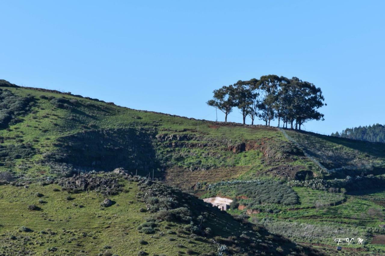Сasa de vacaciones Zalemy San Pedro (Gran Canaria)