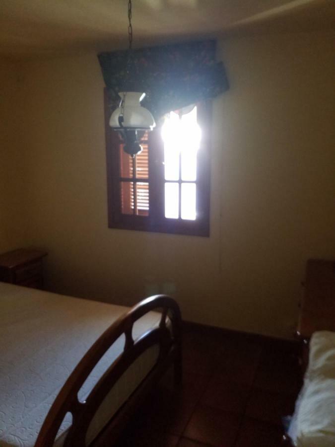 Apartment Palmeras *