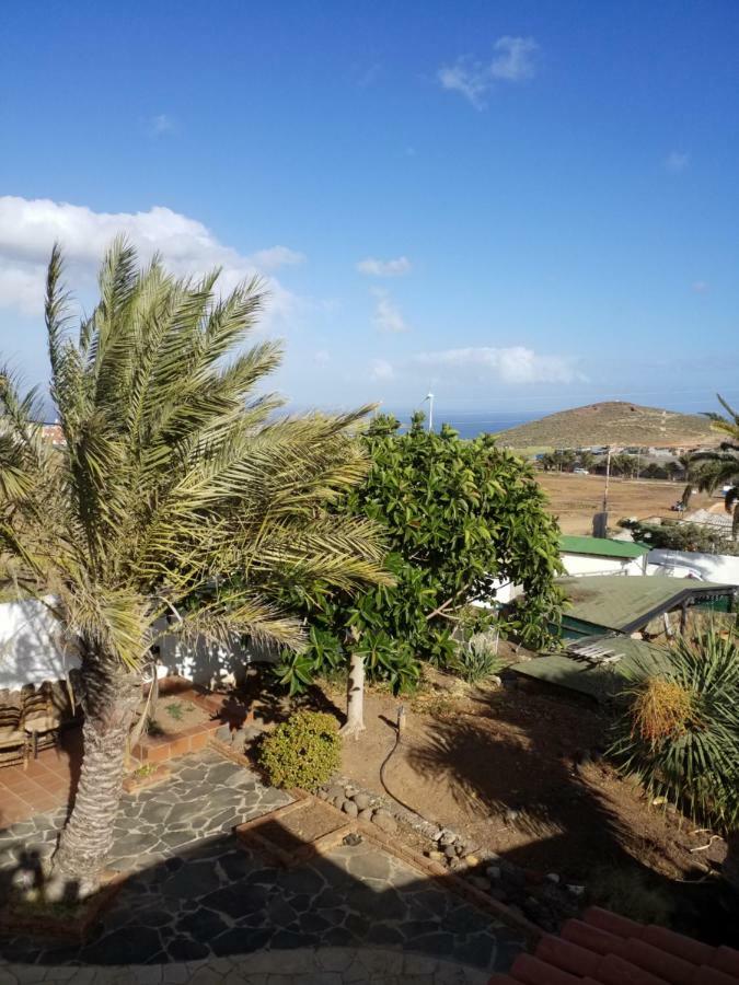 Palmeras *