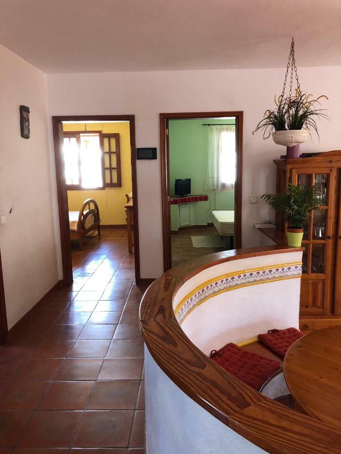 Palmeras * Ingenio
