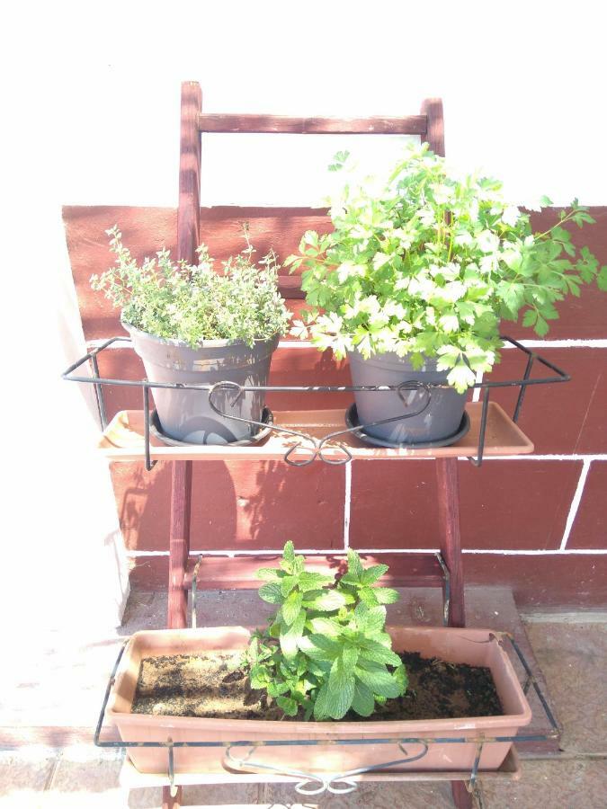 Hacienda Orange Garden Casa vacanze *