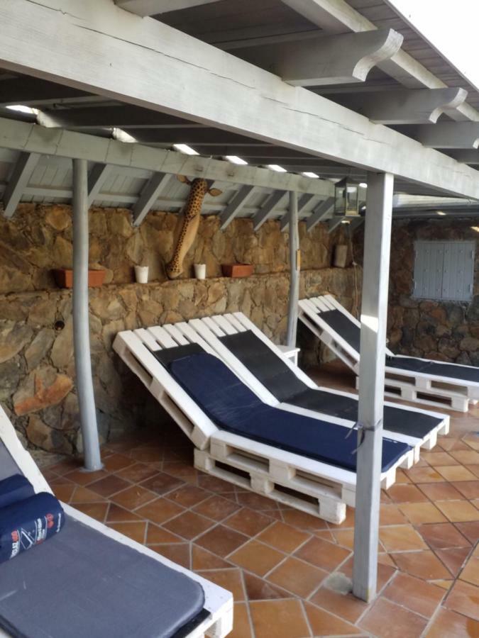 Palmeras
