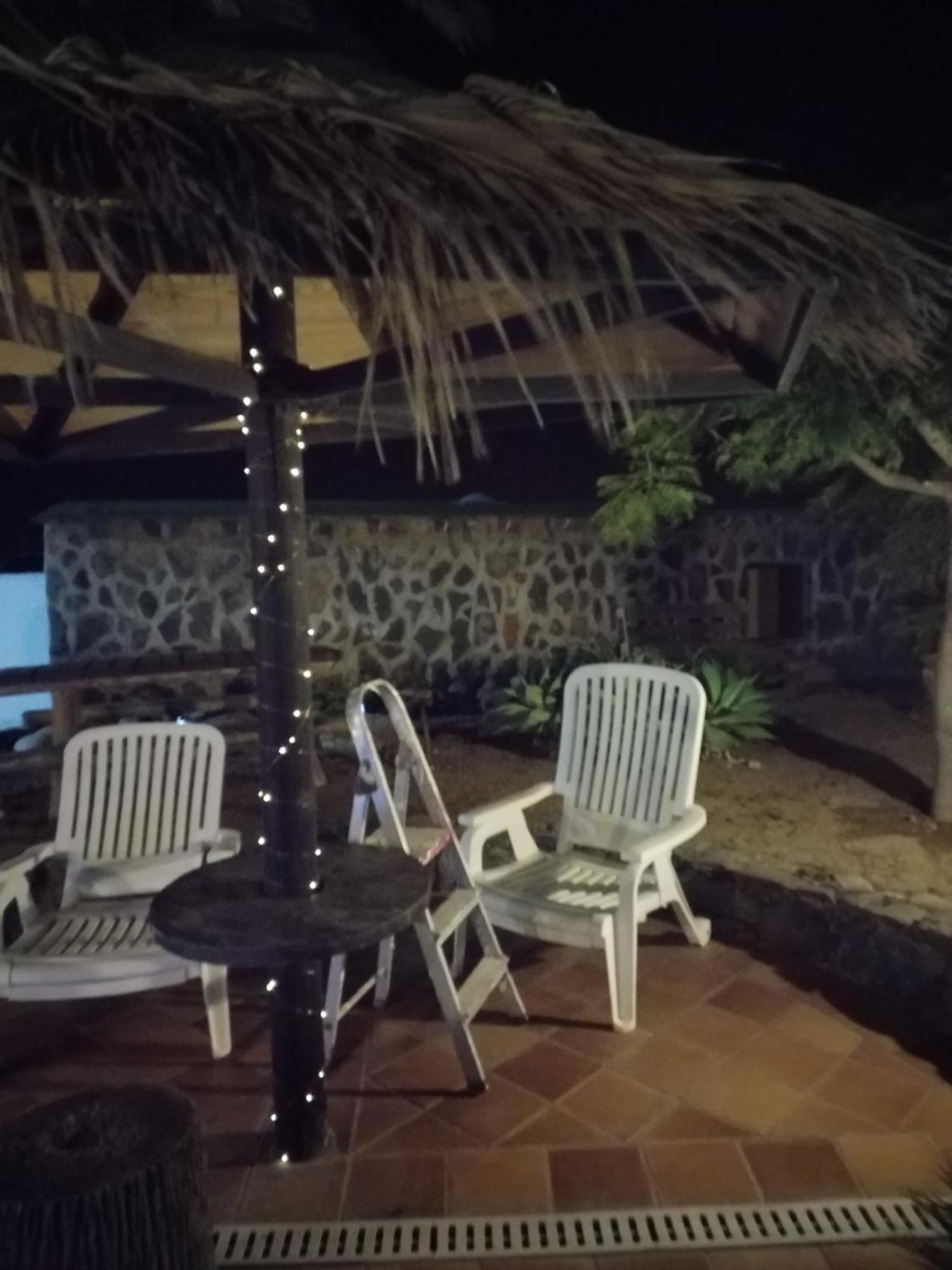 Palmeras