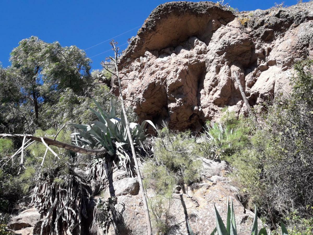 Casa Cueva Juncalillo Garden *
