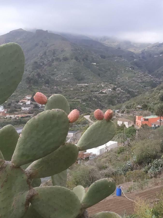 La Casa De Mario Apartamento Valsequillo