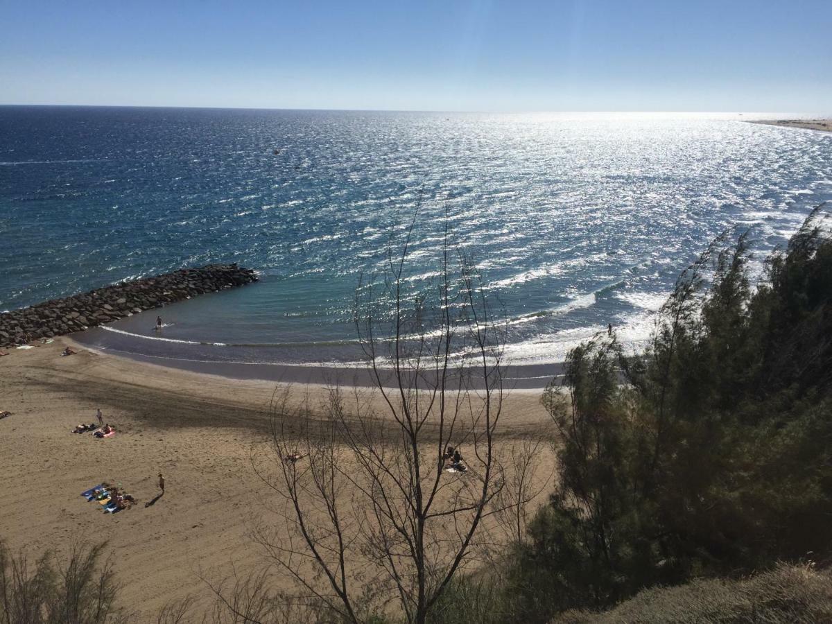 Appartamento Sunrise - *