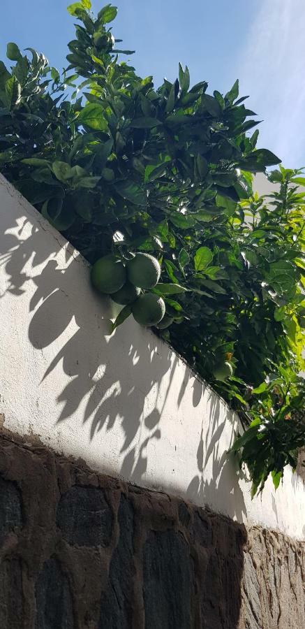 Villa Lovely 2 Bedroom House With Private Garden *
