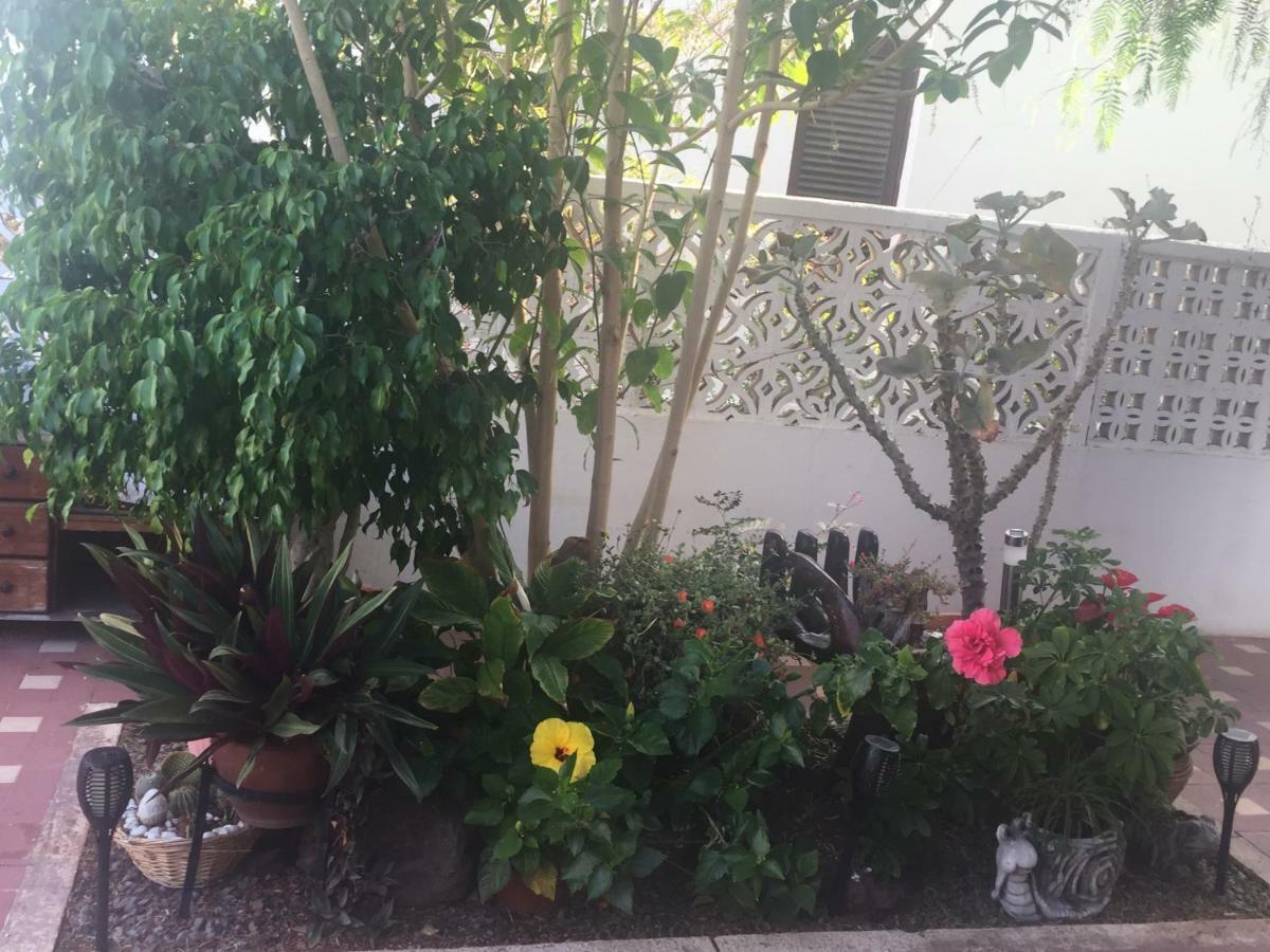 Casa vacanze Heavens Garden House *