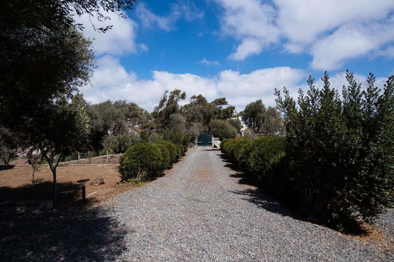 Hacienda Del Batán