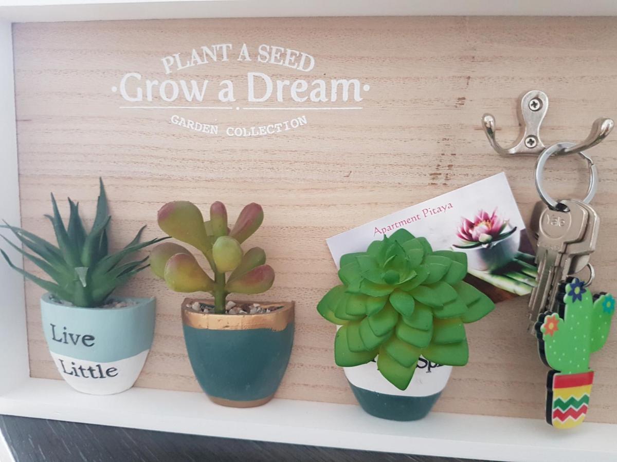 Apartment Pitaya *