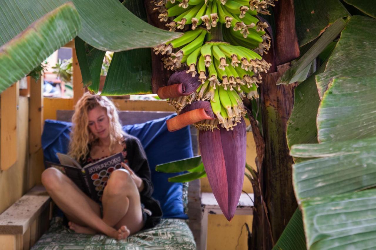 Hostal Tropical House *
