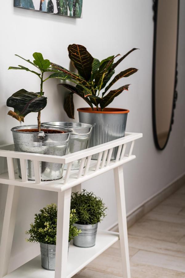 San Juan Fresh Flat * Telde