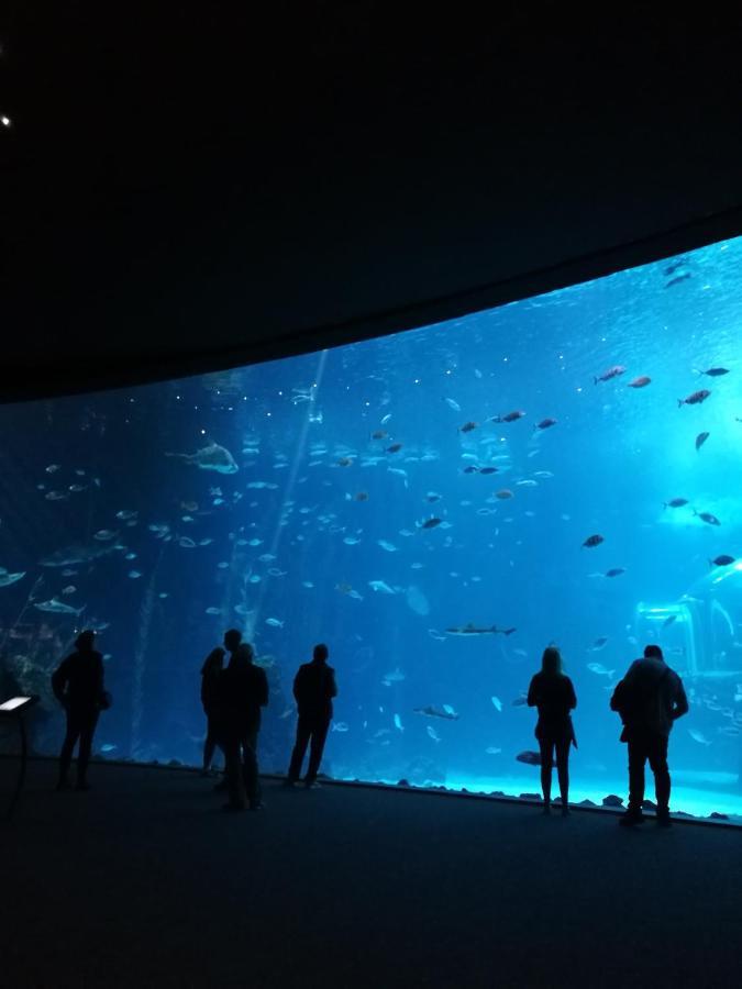 Canteras Aquarium * Las Palmas de Gran Canaria