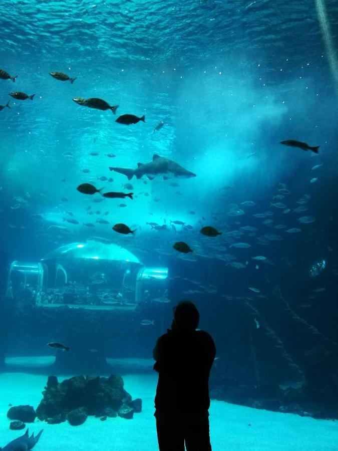 Appartamento Canteras Aquarium *